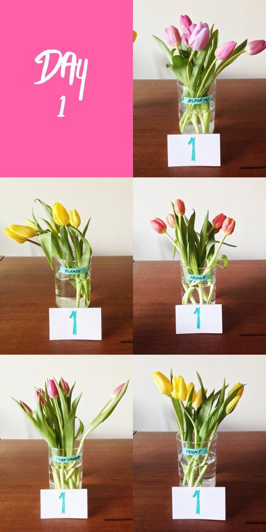 adaymag-beautiful-amp-unusual-flower-arranging-ideas-01