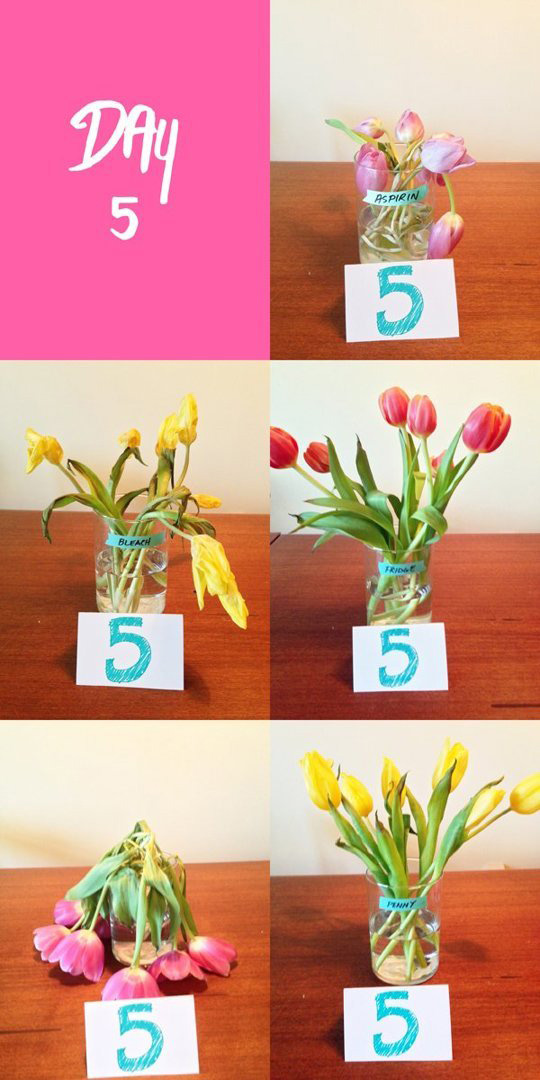 adaymag-beautiful-amp-unusual-flower-arranging-ideas-03