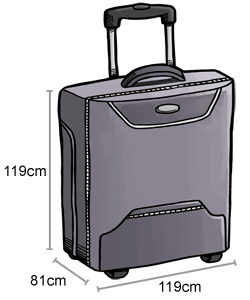 baggage-checked-baggage_12